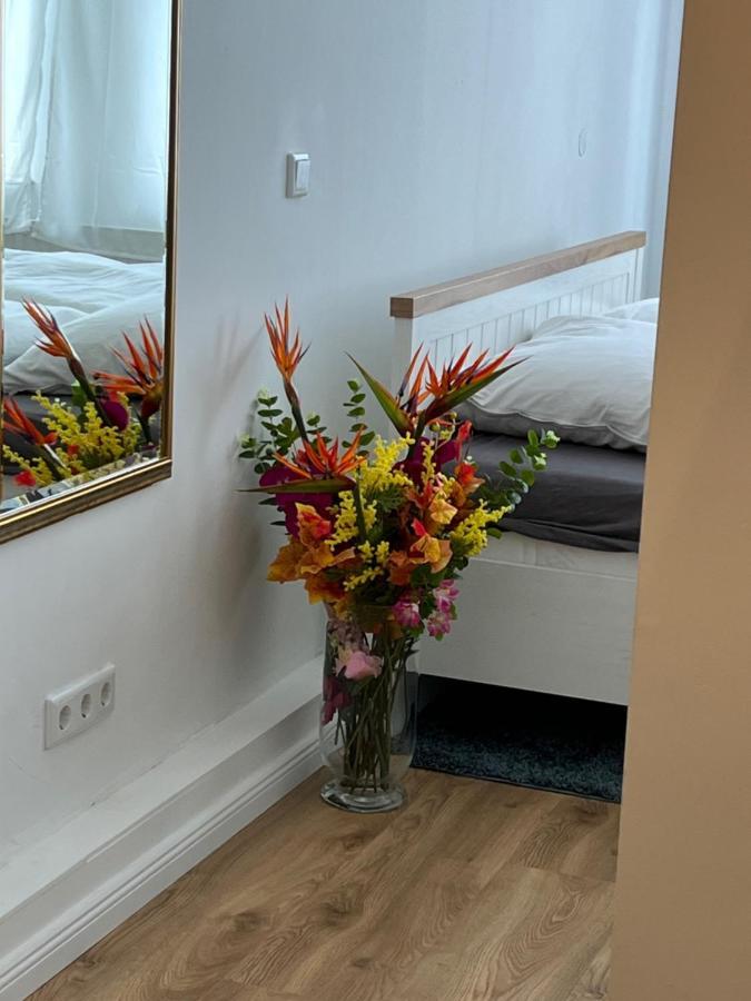 Moderne Wohnung In Der Innenstadt Von Bad Oeynhausen Exteriör bild